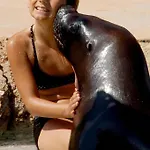 Magic Natura